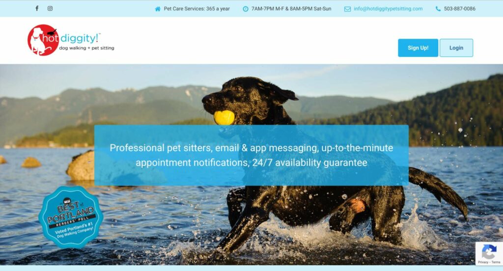 Hot Diggity! Dog Walking + Pet Sitting Homepage