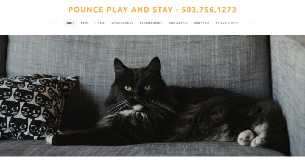 Pounce Play and Stay Homepage