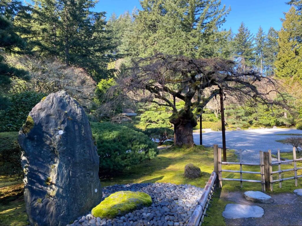 Appreciate the views at Portland Japanese Garden