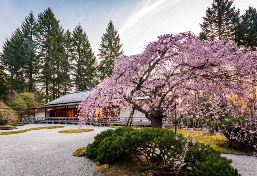 Appreciate the views at Portland Japanese Garden