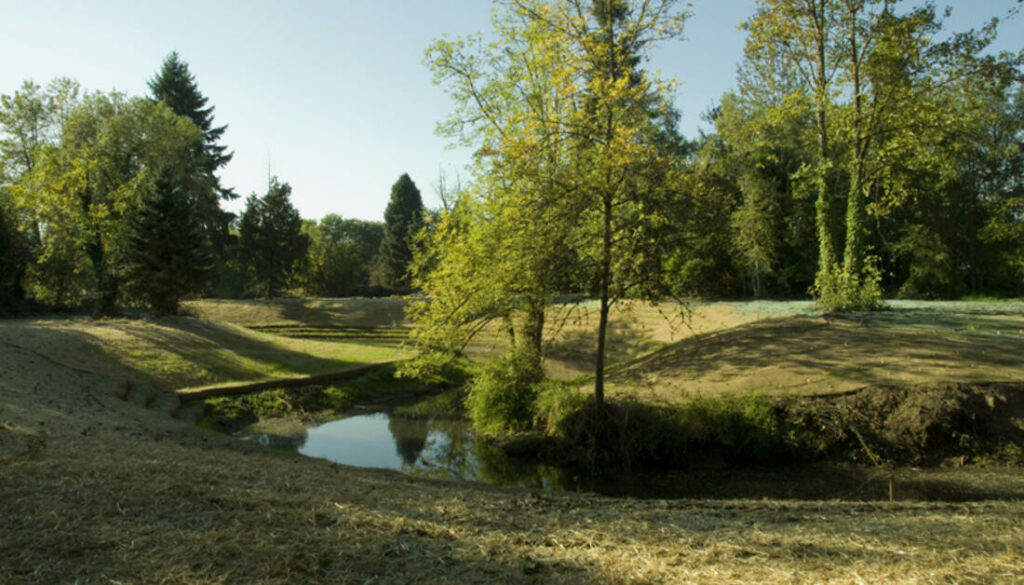 Foster Floodplain Natural Area