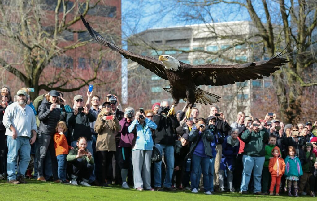 Help educating the community with Portland Audubon