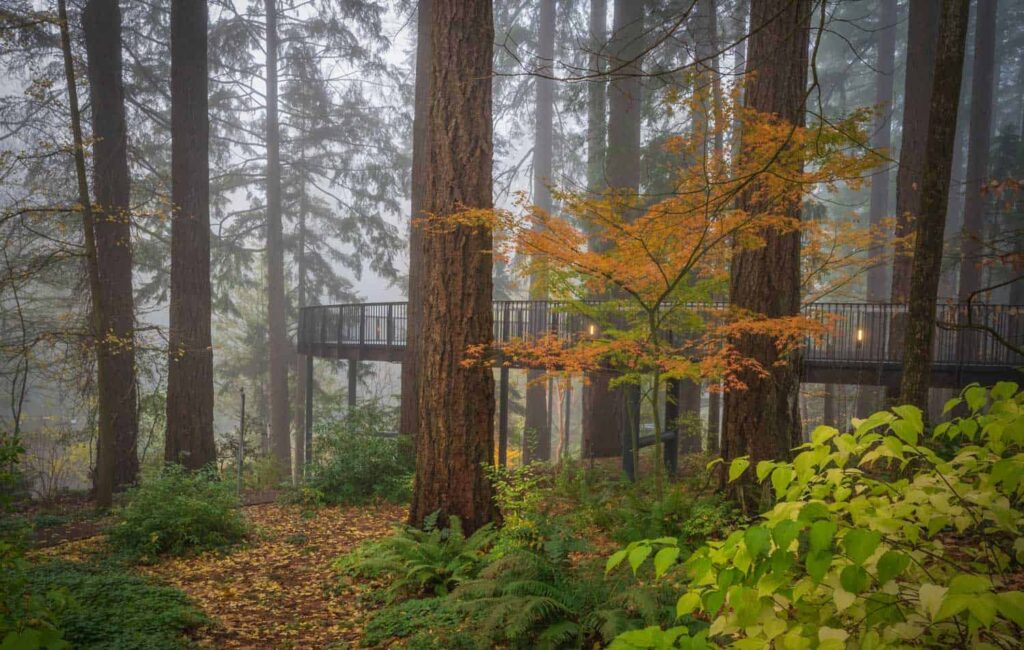 Leach Botanical Garden