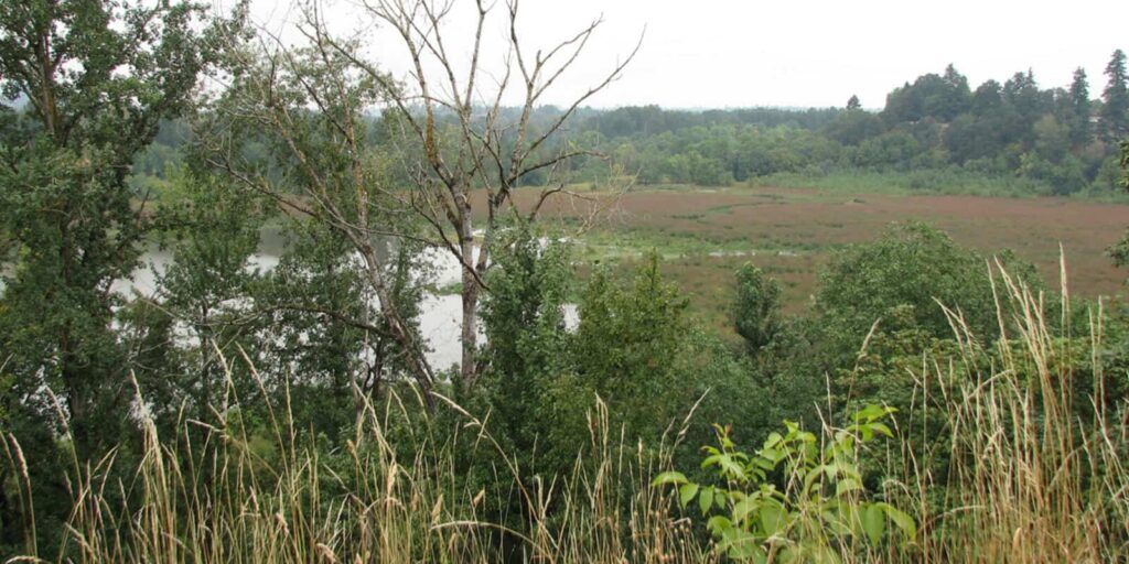 Oaks Bottom Wildlife Refuge