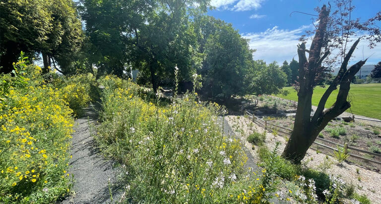 Overlook Park