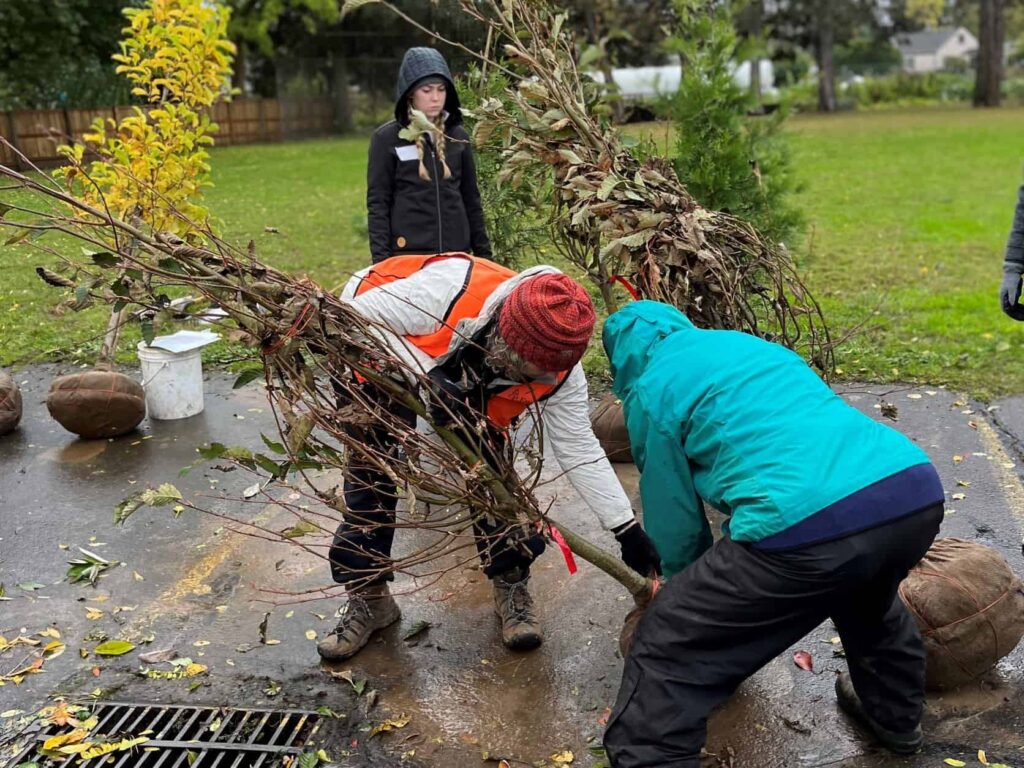 Plant trees all over Portland with Friends of Trees