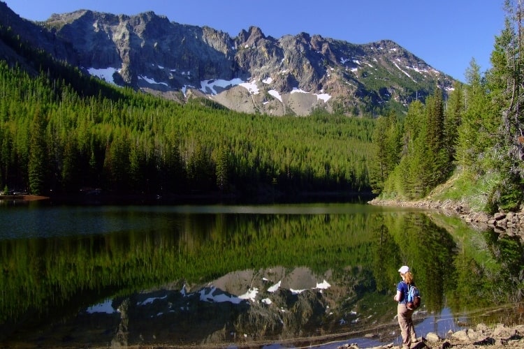 Restore wildlife with Oregon Wild