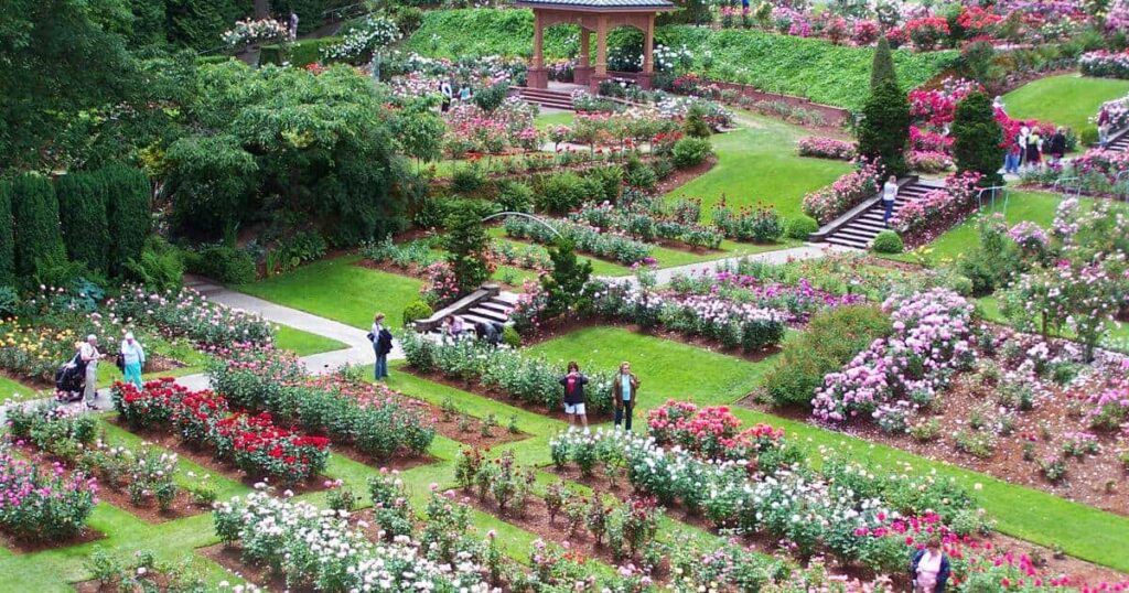 Smell the roses at International Rose Test Garden