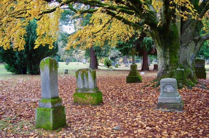 What other facts should I know about the Lone Fir Cemetery