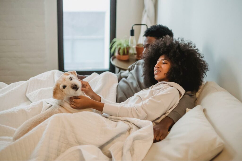 Where can you stay with your dog in Portland