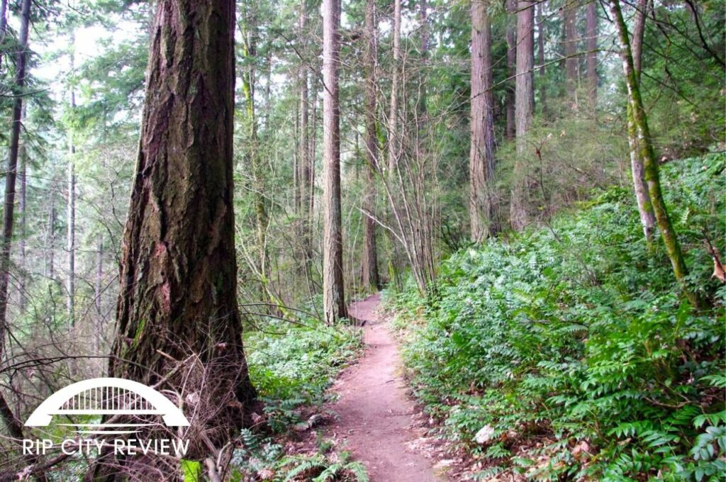 An Essential Guide to Portland’s Linnton Neighborhood [2026]