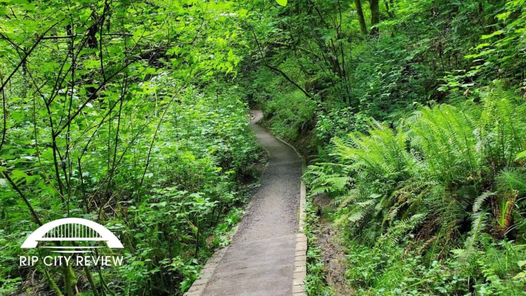 10. Go on a peaceful hike at Woods Memorial Natural Area