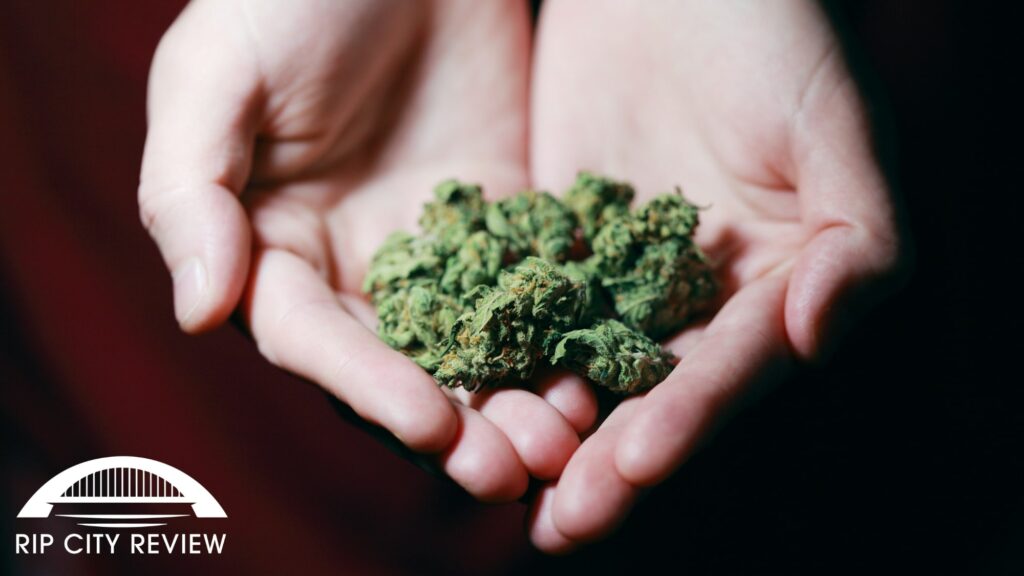 8. Get your hands on some high quality Cannabis at Green Goddess Remedies