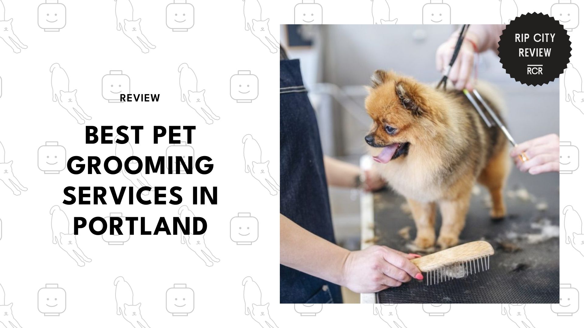 pet-grooming
