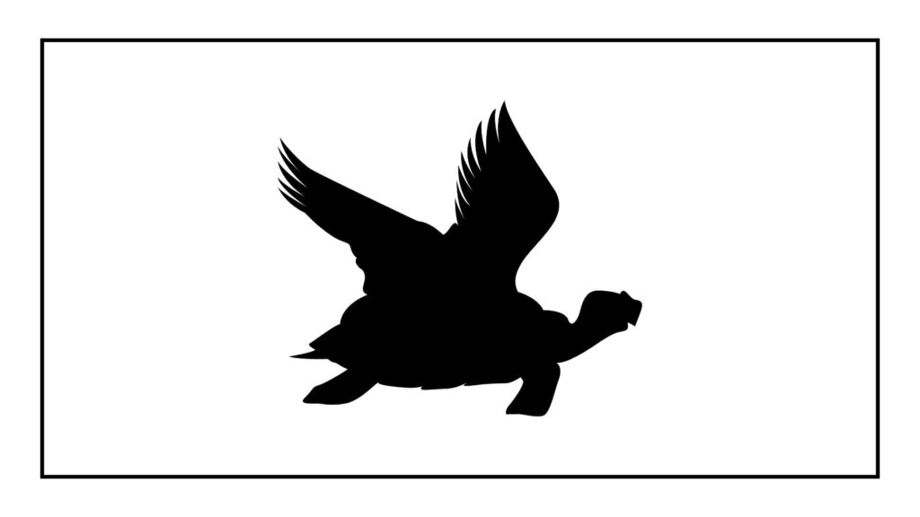flying-tortoise-kung-fu